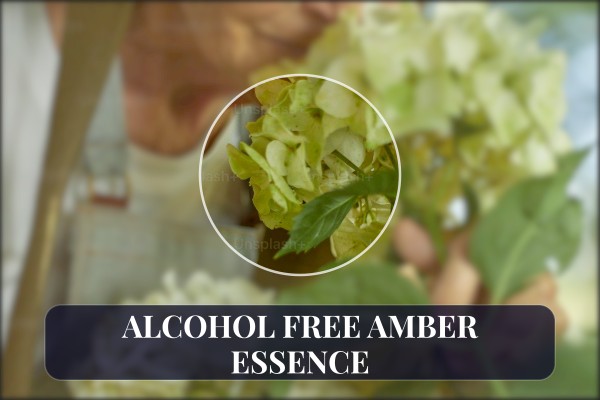 alcohol free amber essence
