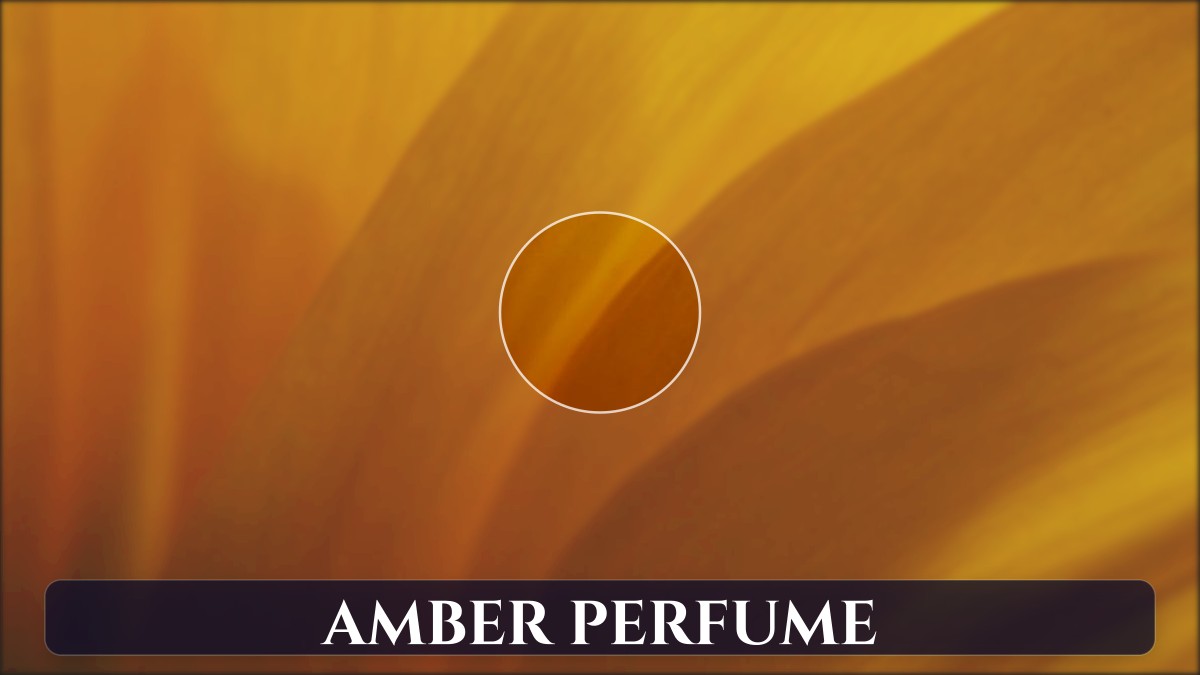 amber perfume