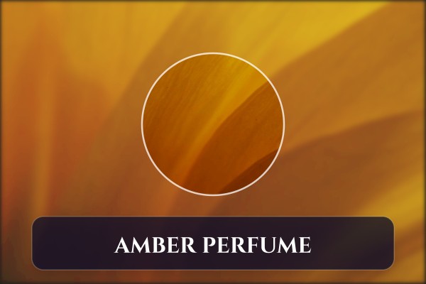 amber perfume