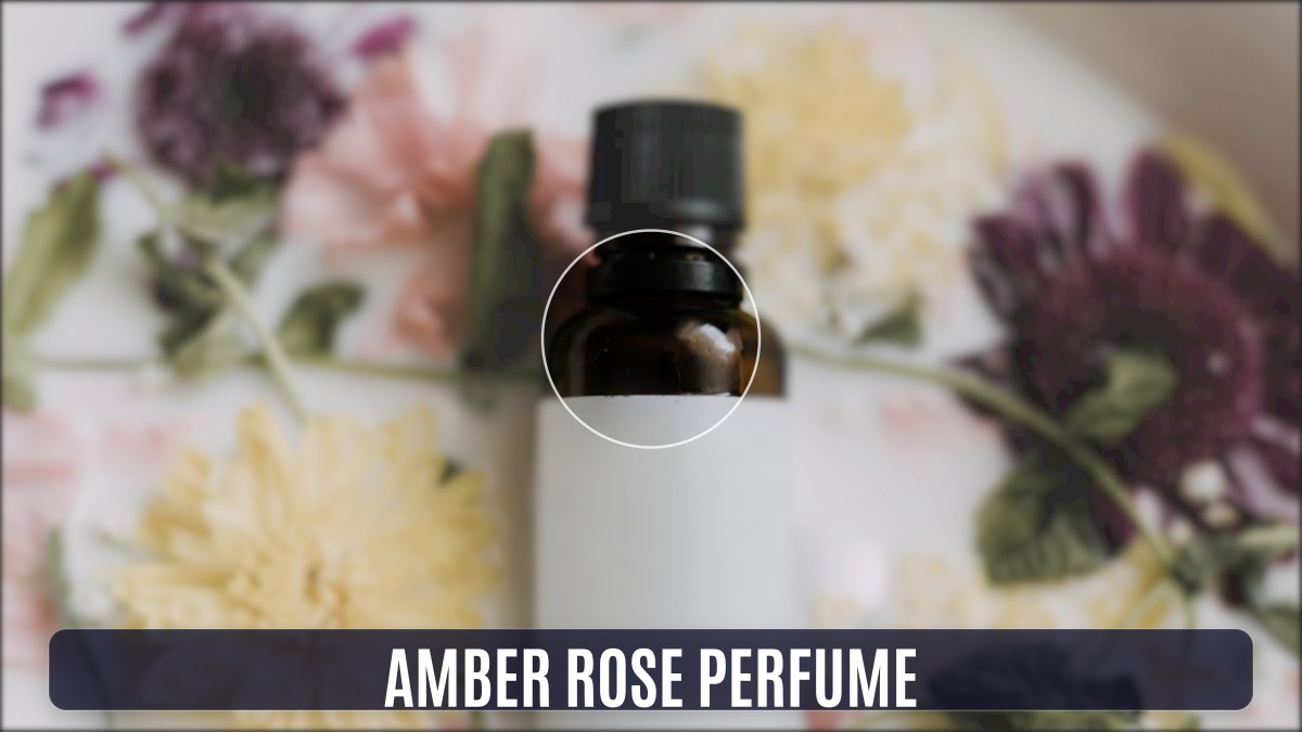 amber rose perfume