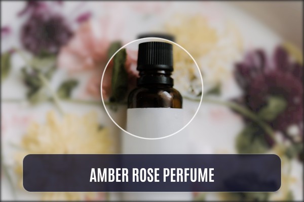 amber rose perfume
