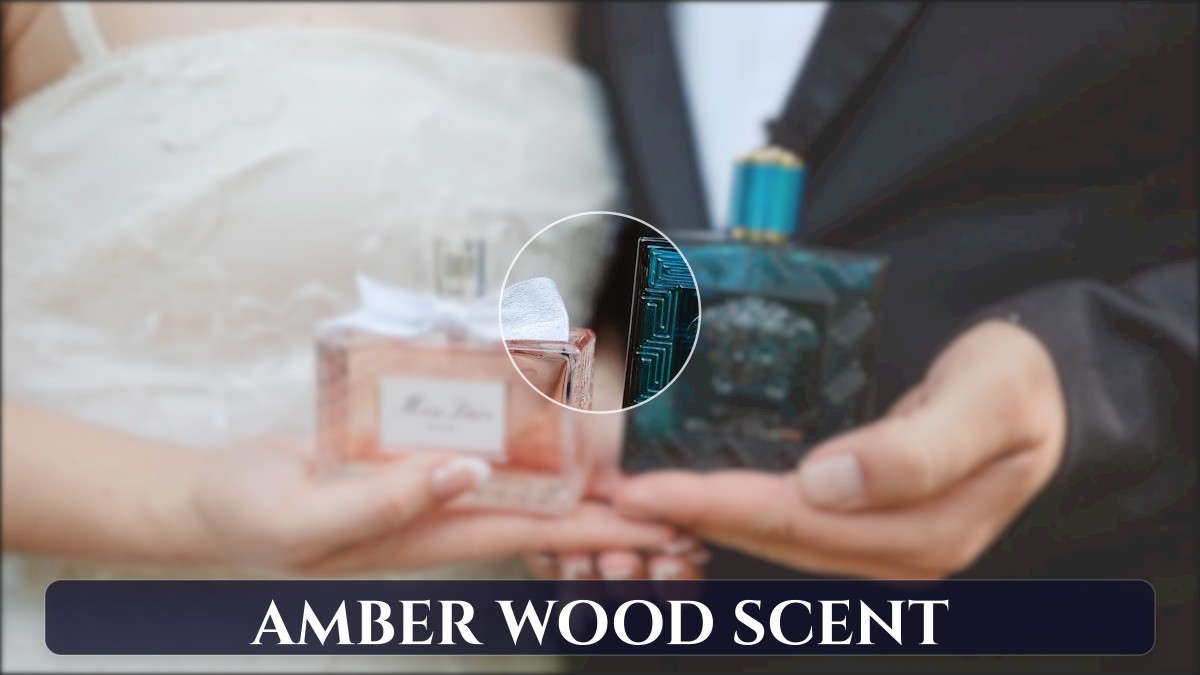 amber wood scent