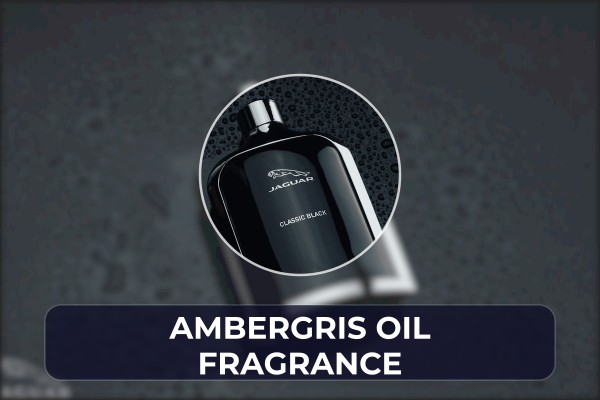 ambergris oil fragrance