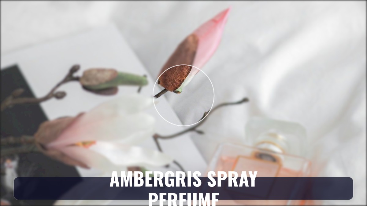 ambergris spray perfume