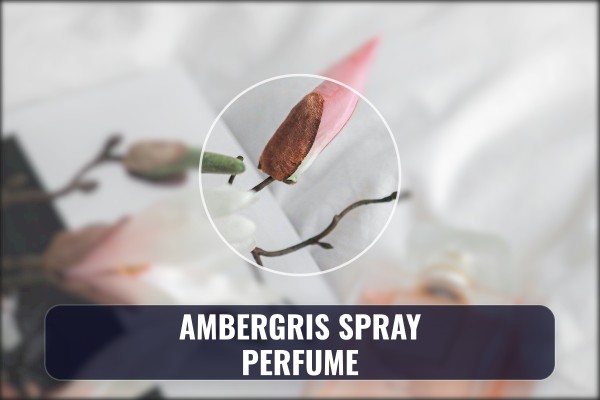 ambergris spray perfume