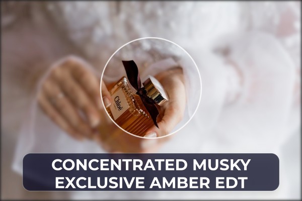 concentrated musky exclusive amber edt