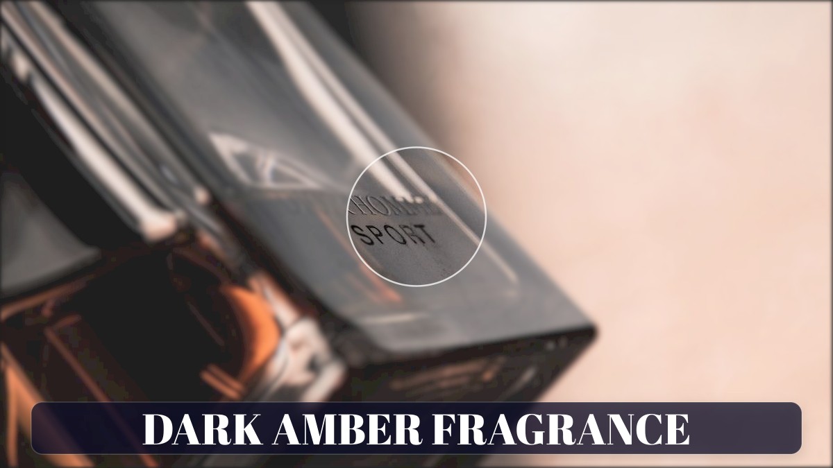 dark amber fragrance
