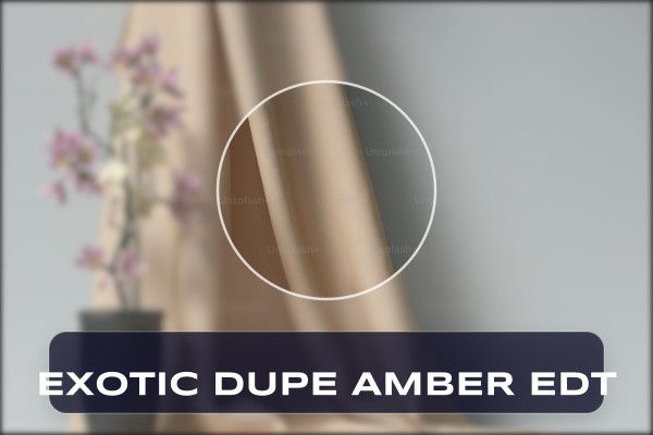 exotic dupe amber edt
