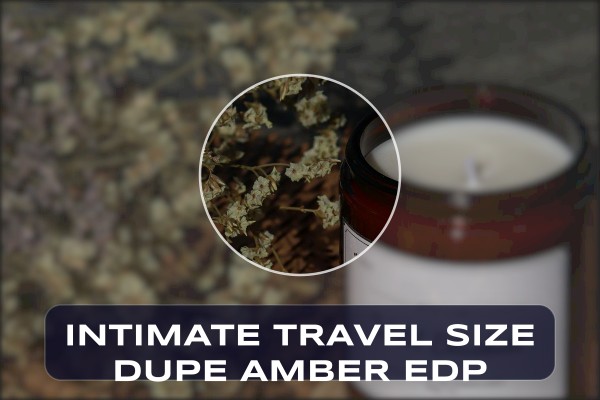 intimate travel size dupe amber edp