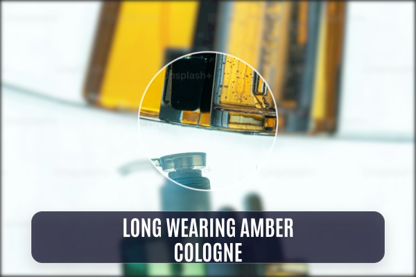 long-wearing amber cologne