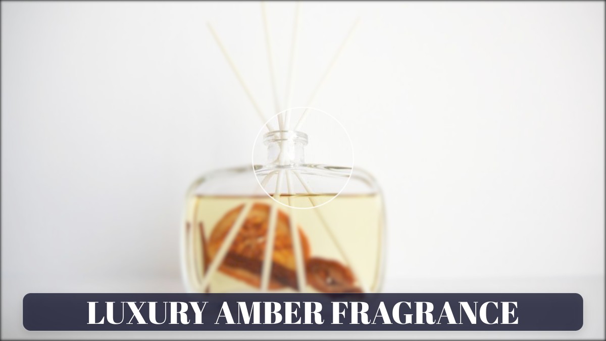 luxury amber fragrance