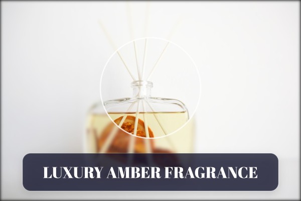 luxury amber fragrance
