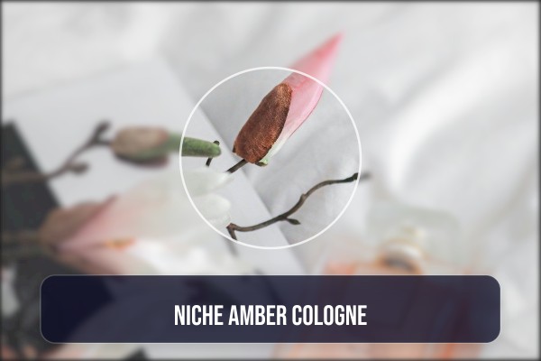 niche amber cologne