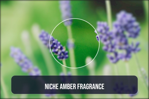 ambergris spray perfume