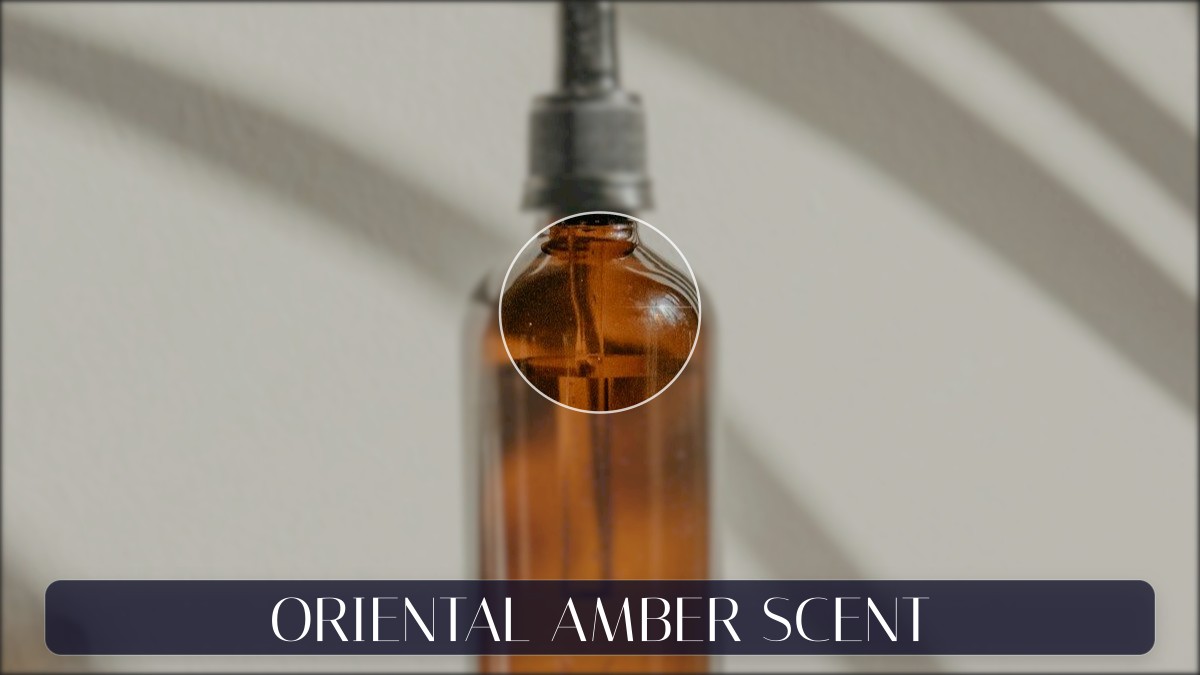 oriental amber scent