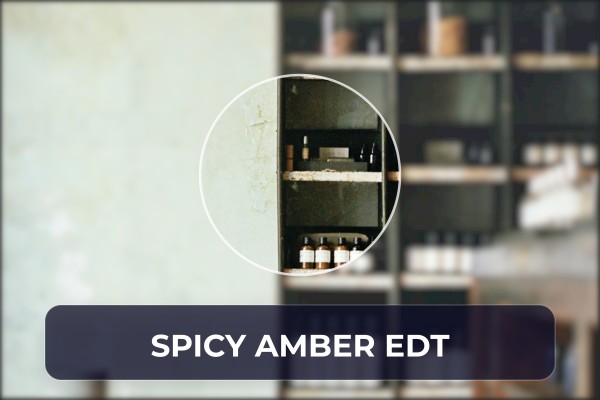 spicy amber edt