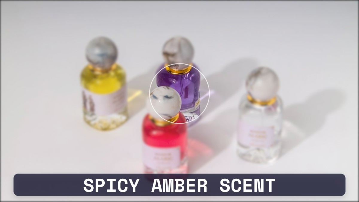 spicy amber scent