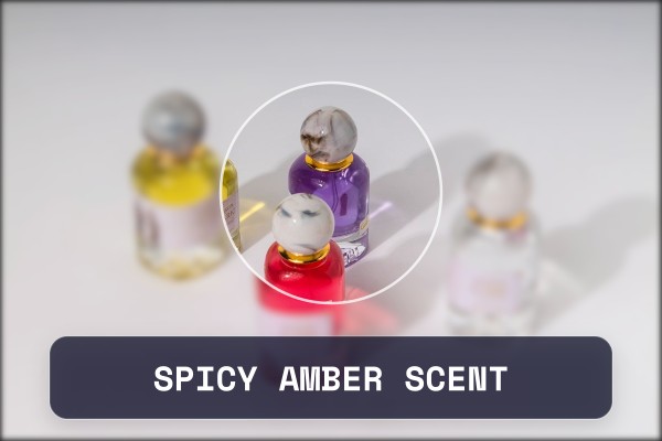 spicy amber scent