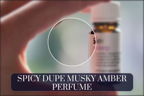 spicy dupe musky amber perfume