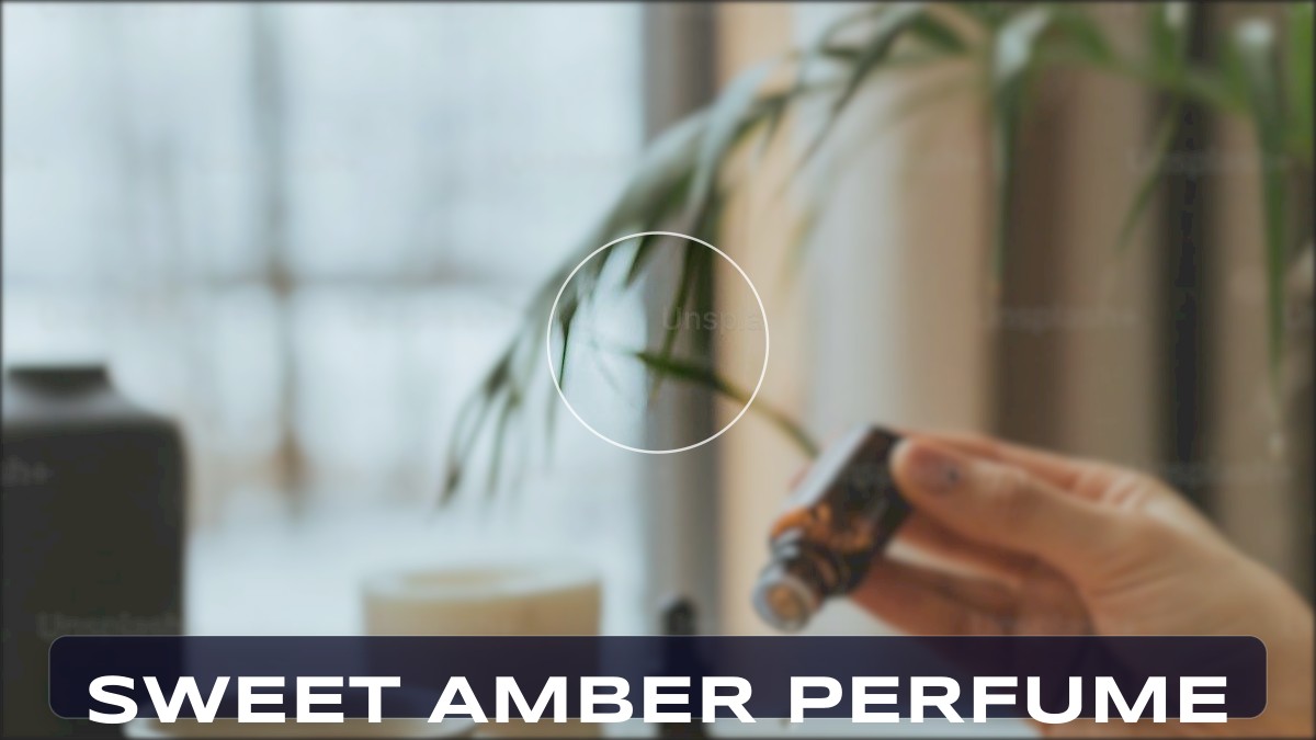 sweet amber perfume