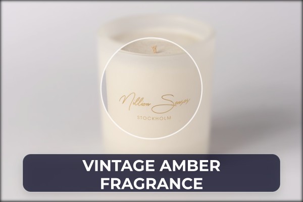 vintage amber fragrance