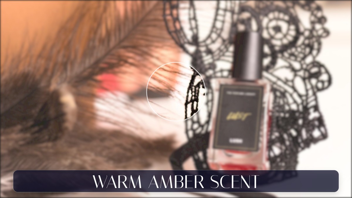 warm amber scent