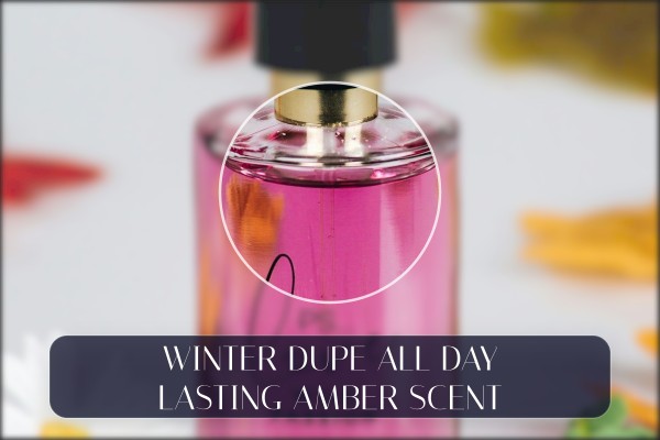 winter dupe all-day lasting amber scent